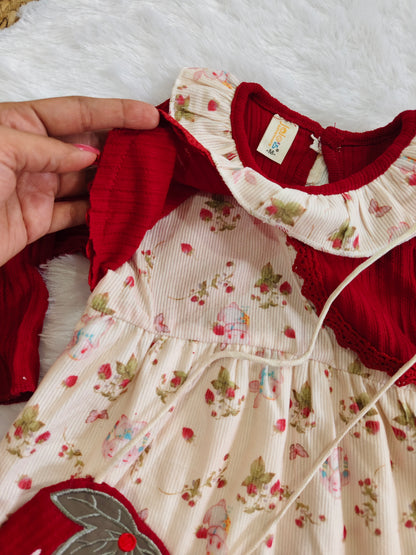 Colourfull Stawberry frocks