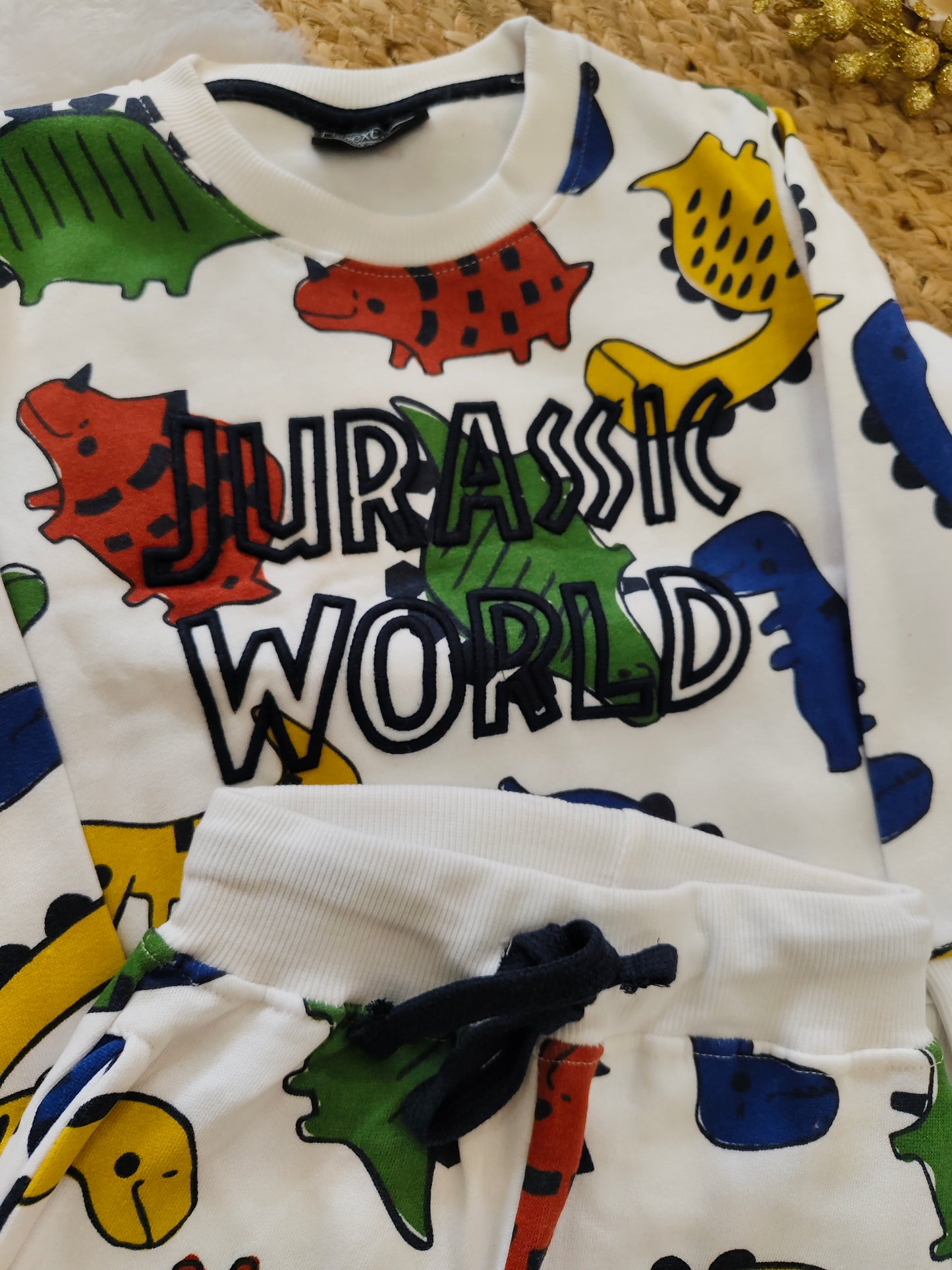 Tiger jurrasic world print cord sets