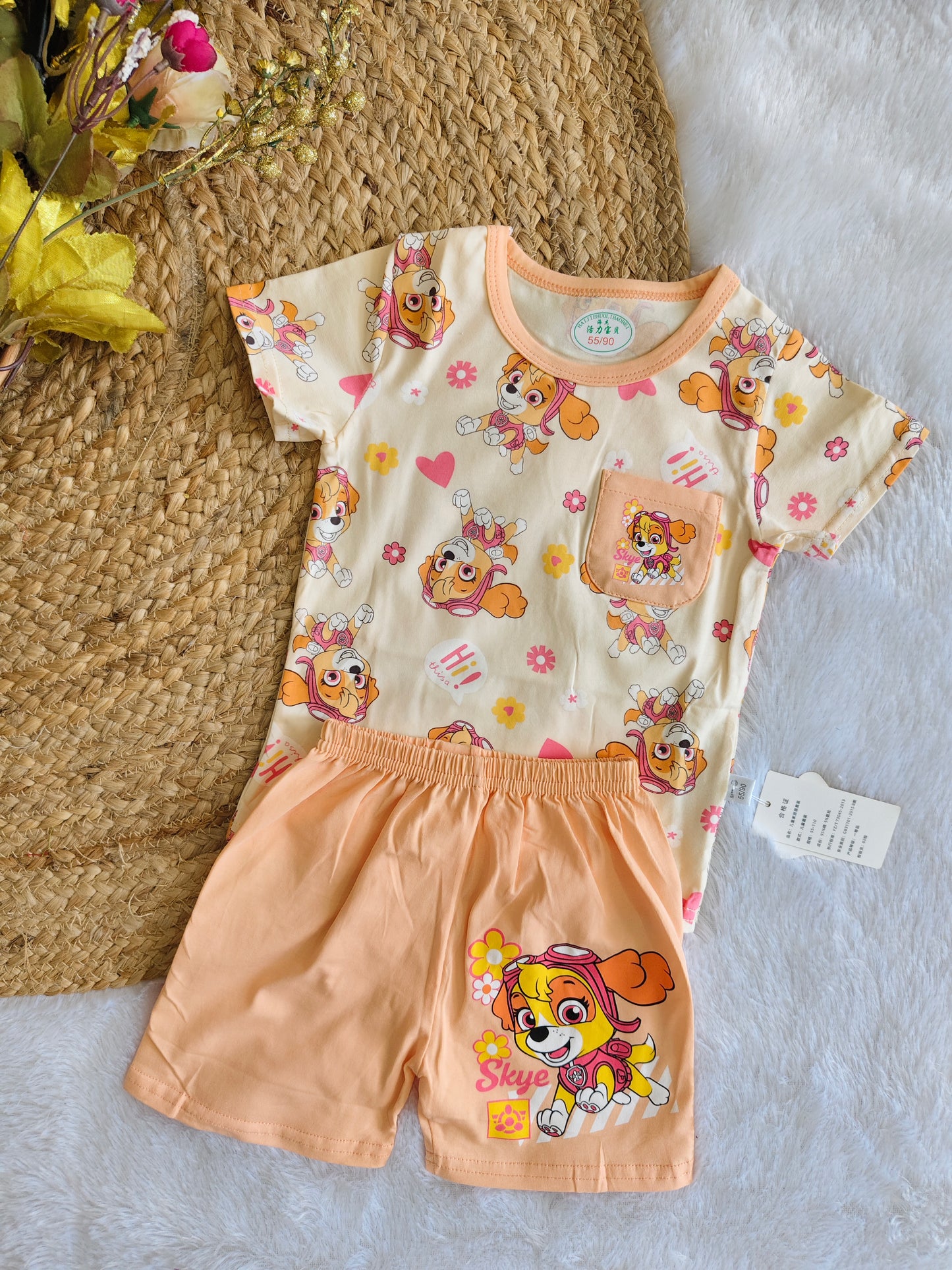 Simba Pluto and skye theme summer sets