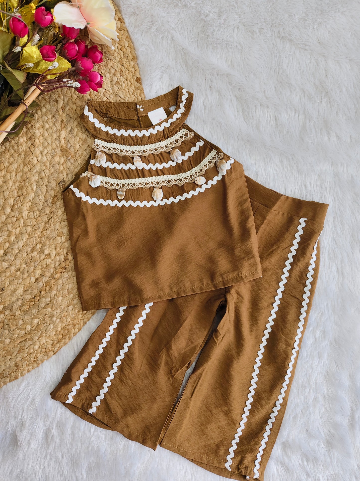 Seashell set
