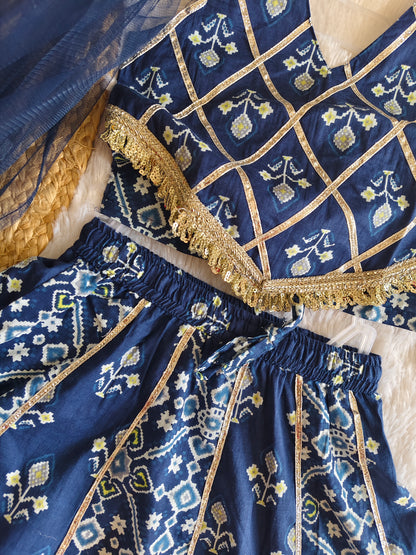 The Royal Indigo Patola Lehenga