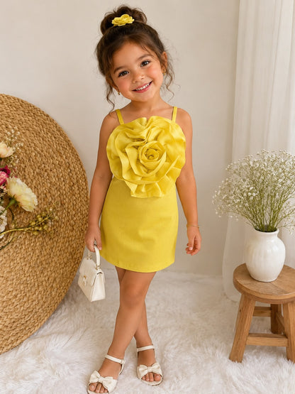 Sunshine Rose partywear dress